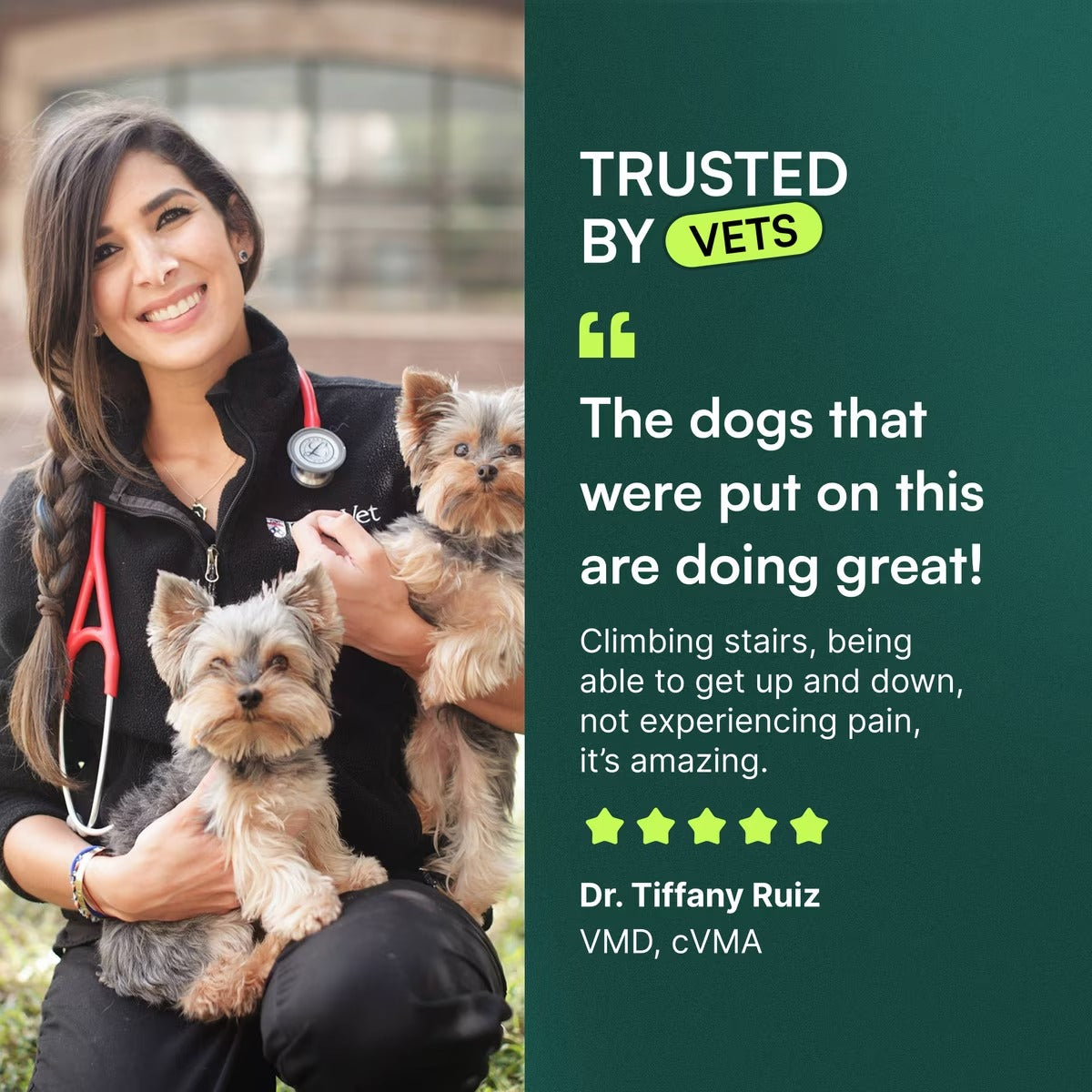 Wuffes Advanced Hip & Joint Chews with Glucosamine & Chondroitin Pork Liver Flavored Soft Chews for All Dogs