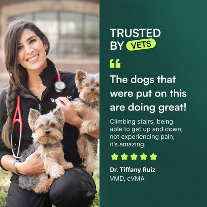 Wuffes Advanced Hip & Joint Chews with Glucosamine & Chondroitin Pork Liver Flavored Soft Chews for All Dogs