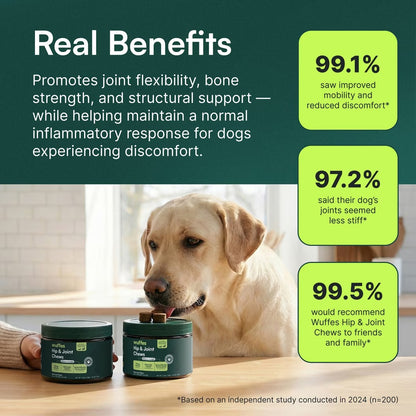 Wuffes Advanced Hip & Joint Chews with Glucosamine & Chondroitin Pork Liver Flavored Soft Chews for All Dogs